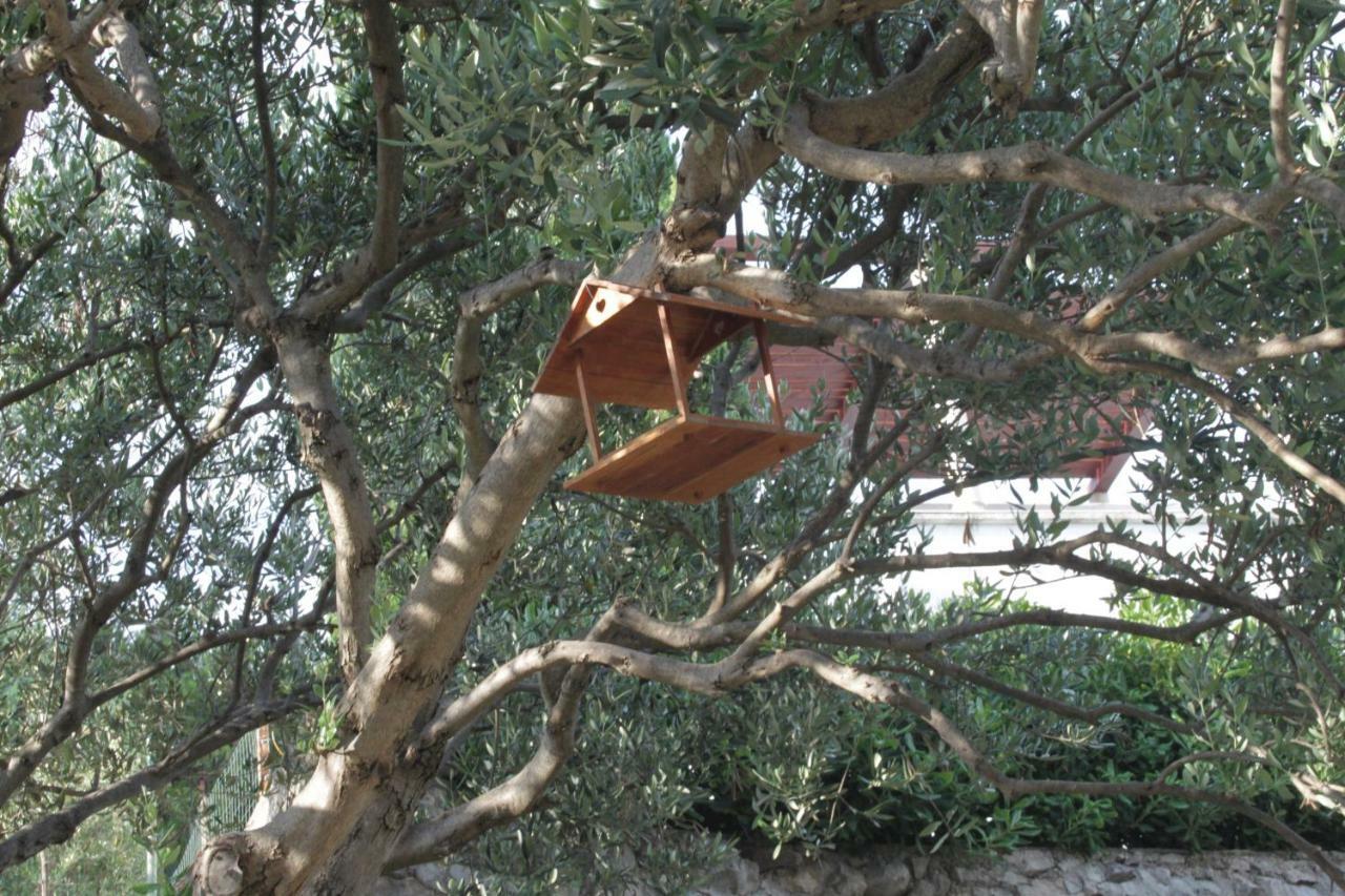 Apartmani "Mali Mago" Tribalj 外观 照片